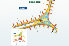 机场
