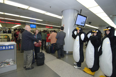 “企鹅”献身首都机场