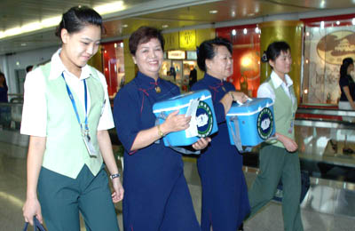 首都机场开辟绿色通道护送“爱心骨髓”飞往台湾